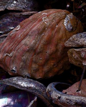 Nature WS - 05.jpg